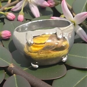 TIGEREYE BEZEL SET QUALITY TITANIUM SHINY SILVER NEW SIZE 7 POLISHED STONE RING